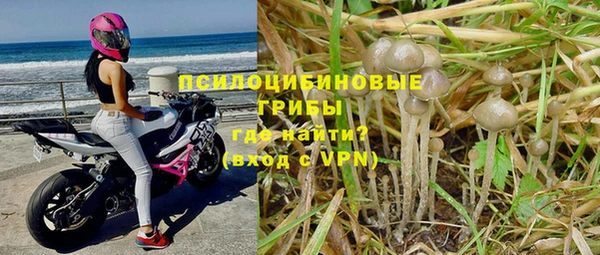 jwh Богданович