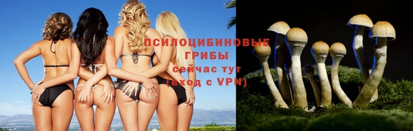 спайс Белокуриха