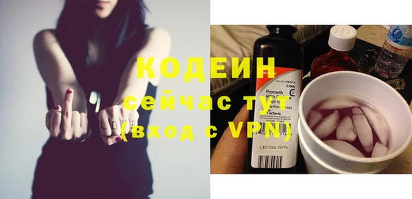 хмурый Богородицк