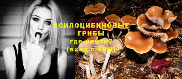 дурь Белоозёрский