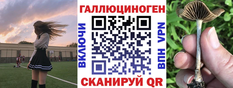 где можно купить   Бирск  Псилоцибиновые грибы Cubensis 